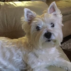 Meet your Posher, Debbie